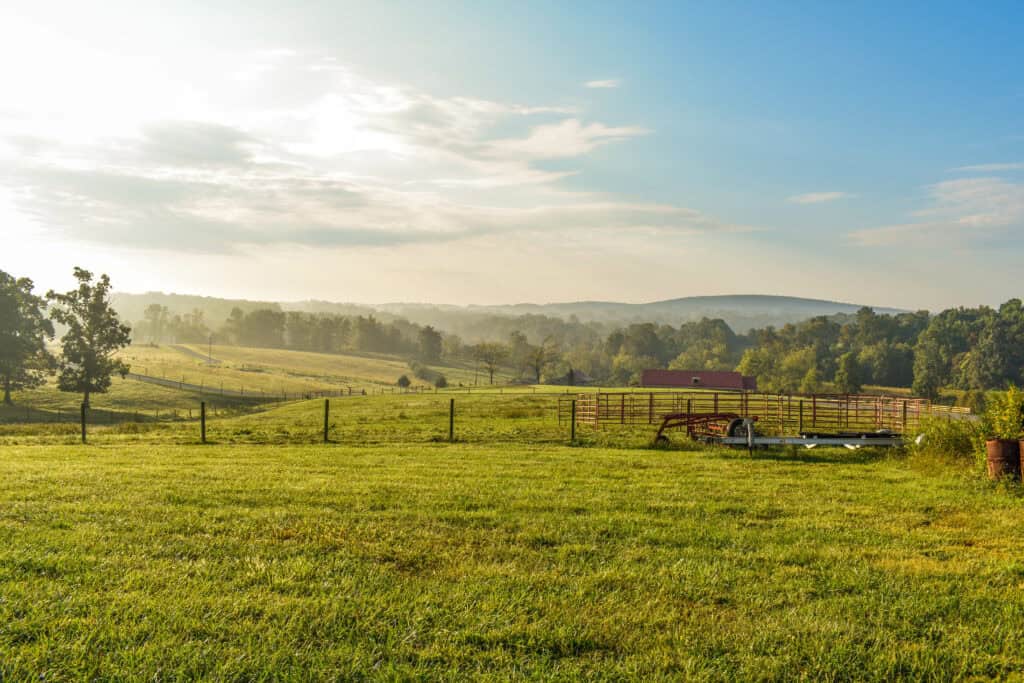 broadacre farming and pastoral land settlements